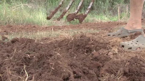 Digging Soil And Picking Out Weeds In Zambia Stock Footage 196844997