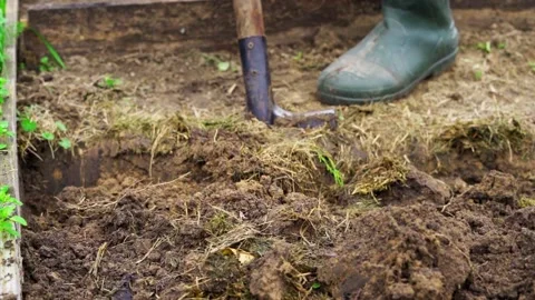 Digging up the soil of the bed with a shovel before wintering in slow motion Stock Footage 145639821