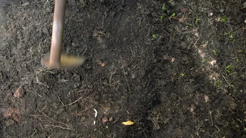 Digging the soil Stock Footage 158361660