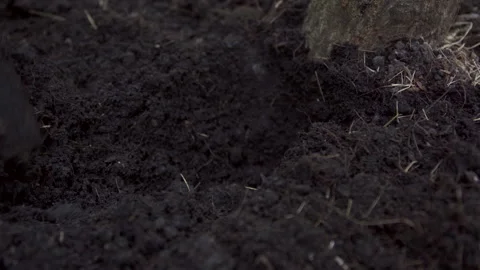 Digging the soil Stock Footage 158361875