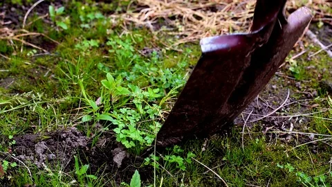 Digging the soil in the garden Stock Footage 93538323