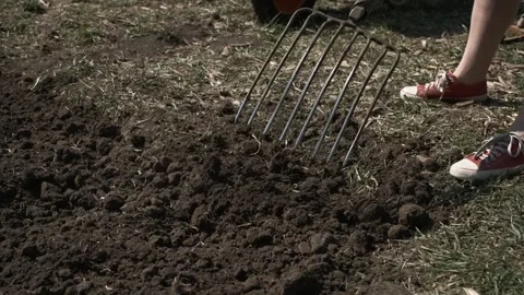 Digging Soil with Garden Fork Stock Footage 303422127
