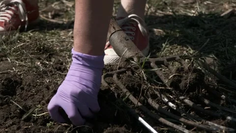 Digging Soil with Garden Fork Stock Footage 303422616