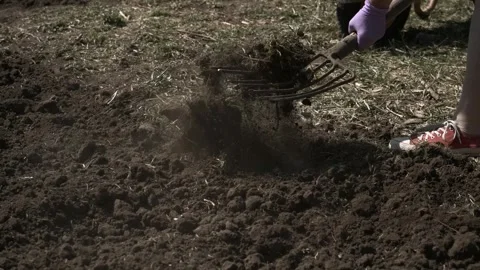 Digging Soil with Garden Fork Stock Footage 303422740