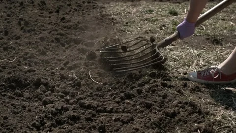 Digging Soil with Garden Fork Stock Footage 303422741