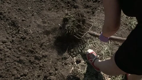 Digging Soil with Garden Fork Stock Footage 303423272