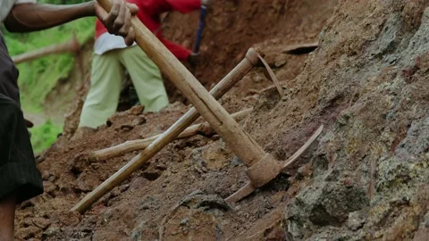 Digging soil with hand tools Stock Footage 163984678