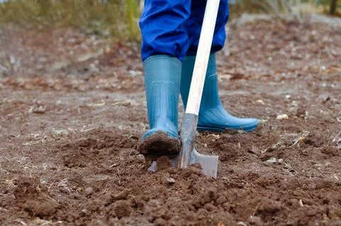 Digging soil Stock Photos