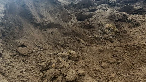 Digging soil in pit with shovel. Worker digs ground with shovel. Stock Footage 218528071