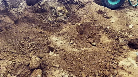 Digging soil in pit with shovel. Worker digs ground with shovel. Stock Footage 218529195