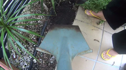 Digging Soil In Planter Pot POV Stock Footage 36999417