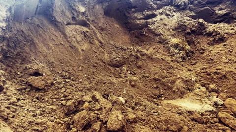 Digging soil with shovel. Worker digs the ground with a shovel. Vidéo 218541385