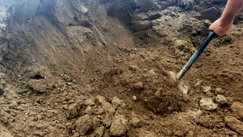 Digging soil with shovel. Worker digs the ground with a shovel. Stock Footage 218542368