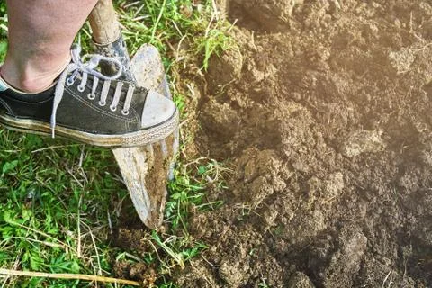 Digging a soil with a spade 写真素材