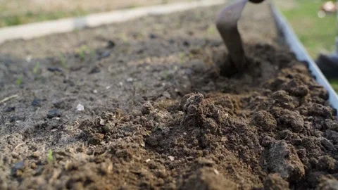 Digging up the soil of a vegetable garden bed with a flat cutter, slow motion Stock Footage 311796349