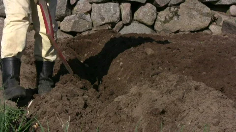Digging with a spade Stock Footage 582833