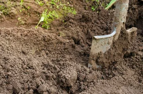 Digging spring soil with shovel. Stock Photos