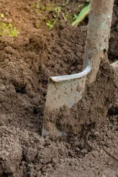 Digging spring soil with shovel. Stock Photos