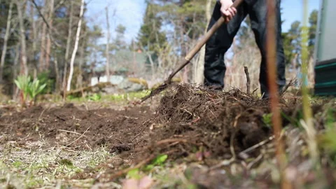 Digging Spring Soil With Spading fork. Close up of digging spring soil with Stock Footage 153884621