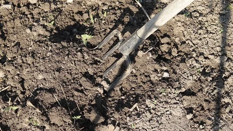 Digging spring solid ground in a garden with a fork Stock Footage 129411062