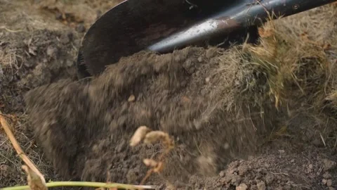 Digging up a vegetable garden bed with a shovel in slow motion, close-up Stock Footage 258561435