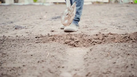 Digging up vegetable garden beds with a shovel close-up Stock Footage 201143250