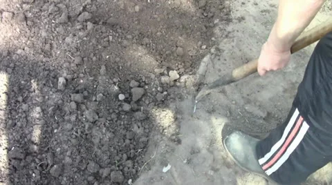 Digging worker Stock Footage 24698229