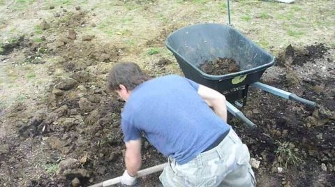 Digging in the Yard Time Lapse Stock Footage 703851