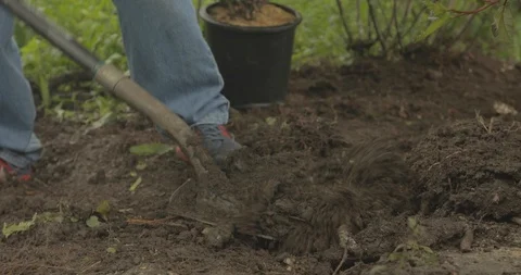 DiggingWIthShovel Stock Footage 88838382