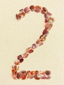 Digit two made of seashells on a coral sandy beach Stock-Fotos