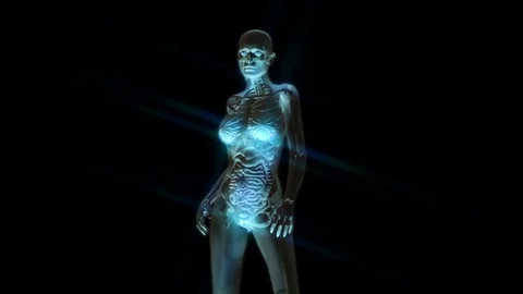 Digital 3D Animation of the female human Anatomy Stock Footage 73289971