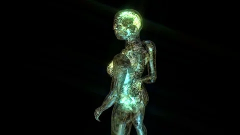 Digital 3D Animation of the human Anatomy Stock Footage 77381516