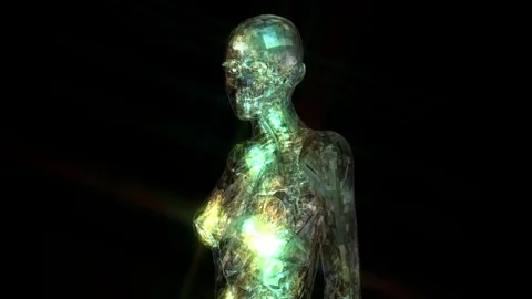 Digital 3D Animation of the human Anatomy Stock Footage 77382622