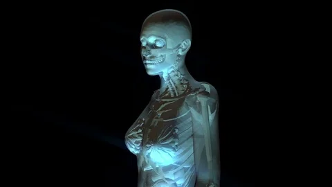 Digital 3D Animation of the human Anatomy Stock-Footage 77382864