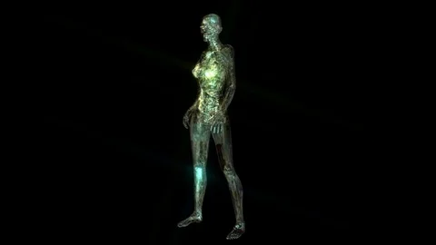 Digital 3D Animation of the human Anatomy Stock Footage 77418647