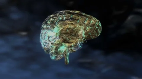 Digital 3D Animation of a human Brain Stock Footage 73290413