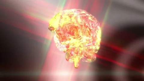 Digital 3D Animation of a human Brain Stock Footage 73290855