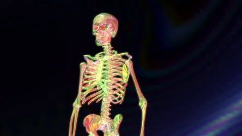 Digital 3D Animation of a human Skeleton Stock Footage 73291933