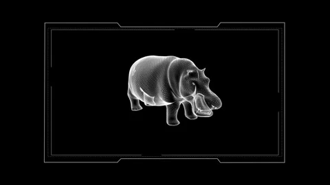 Digital 3D Hippo Wireframe: Futuristic, Minimalistic Art on Black Background 库存影片 342376316