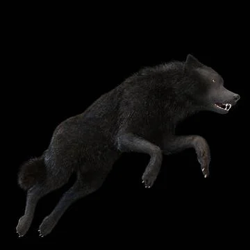 Digital 3D Illustration of a Wolf Digital 3D Illustration of a Wolf Copyri... 스톡 사진