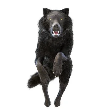 Digital 3D Illustration of a Wolf Digital 3D Illustration of a Wolf Copyri... 스톡 사진