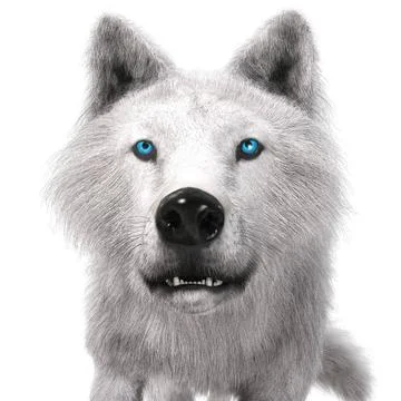 Digital 3D Illustration of a Wolf Digital 3D Illustration of a Wolf Copyri... 스톡 사진