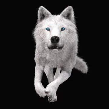 Digital 3D Illustration of a Wolf Digital 3D Illustration of a Wolf Copyri... 스톡 사진