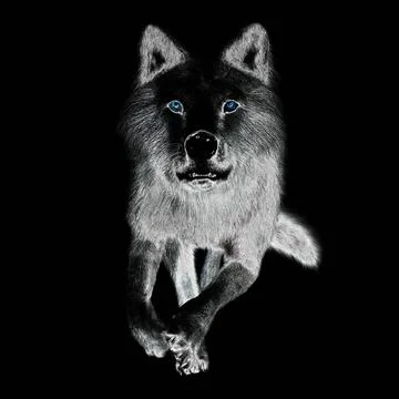 Digital 3D Illustration of a Wolf Digital 3D Illustration of a Wolf Copyri... 스톡 사진
