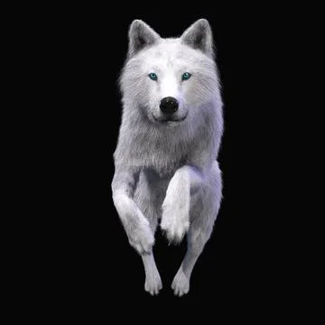 Digital 3D Illustration of a Wolf Digital 3D Illustration of a Wolf Copyri... 스톡 사진