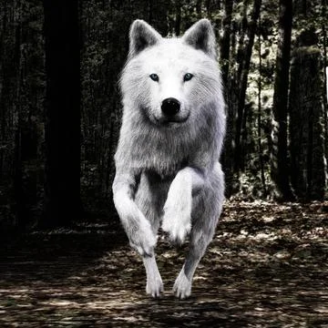Digital 3D Illustration of a Wolf Digital 3D Illustration of a Wolf Copyri... 스톡 사진