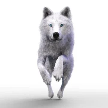 Digital 3D Illustration of a Wolf Digital 3D Illustration of a Wolf Copyri... 스톡 사진