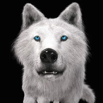 Digital 3D Illustration of a Wolf Digital 3D Illustration of a Wolf Copyri... 스톡 사진
