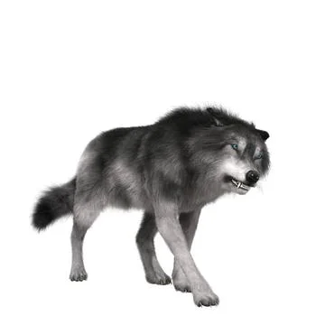 Digital 3D Illustration of a Wolf Digital 3D Illustration of a Wolf Copyri... 스톡 사진