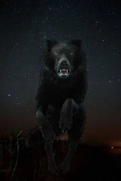 Digital 3D Illustration of a Wolf Digital 3D Illustration of a Wolf Copyri... 스톡 사진